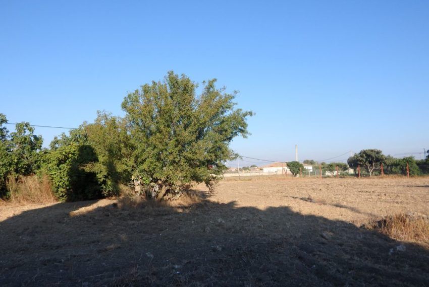 Parcela rústica de 10100 metros cuadrados - Campomar Inmobiliaria